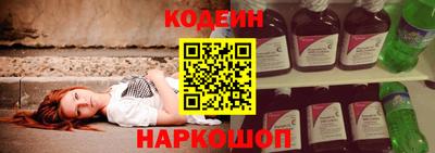 стаф Дубна