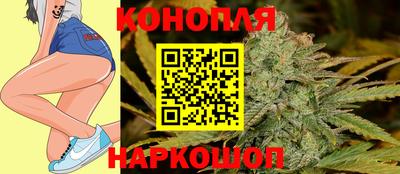 стаф Дубна
