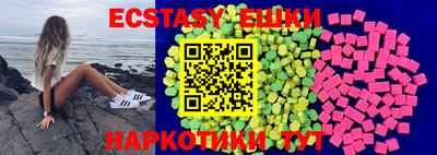 стаф Дубна