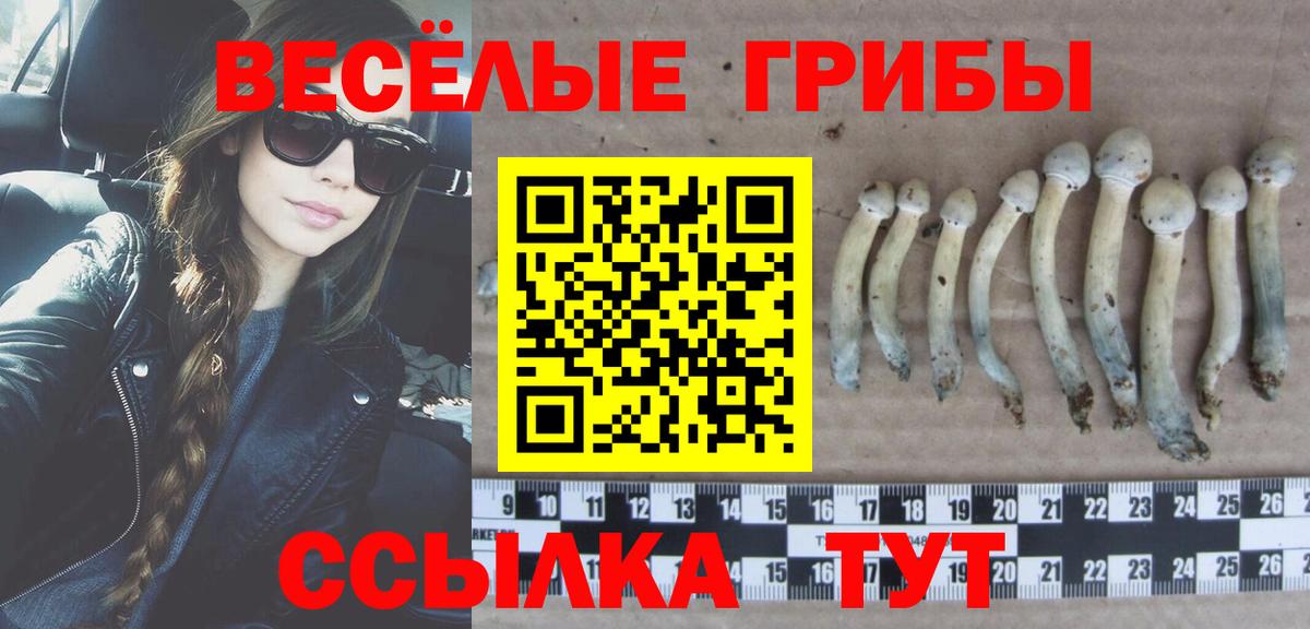Луховицы  Галлюциногенные грибы Psilocybe  Псилоцибиновые грибы Psilocybine cubensis  Вход с VPN 