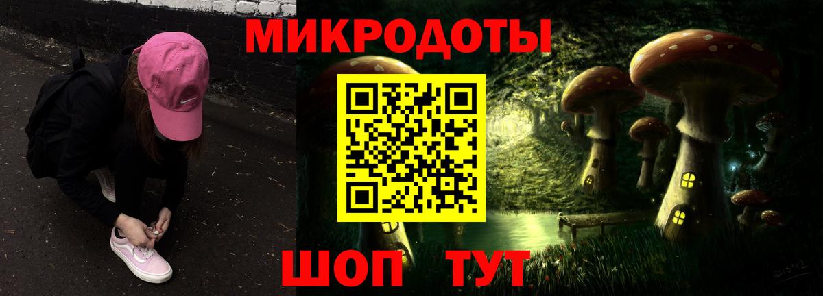 Галлюциногенные грибы Psilocybe Луховицы